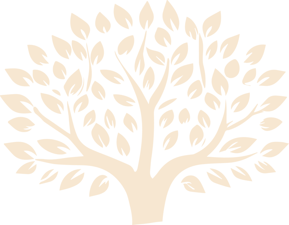 Transparent-File-(1)